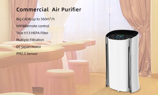 Large Commercial HEPA Filter High Cadr Air Purifier WiFi APP and Remote Control